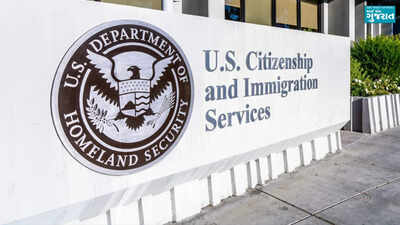 US immigration agency on 'guarantee' that you can get a American visa, Green Card, or work permit faster: Sometimes businesses and websites ...