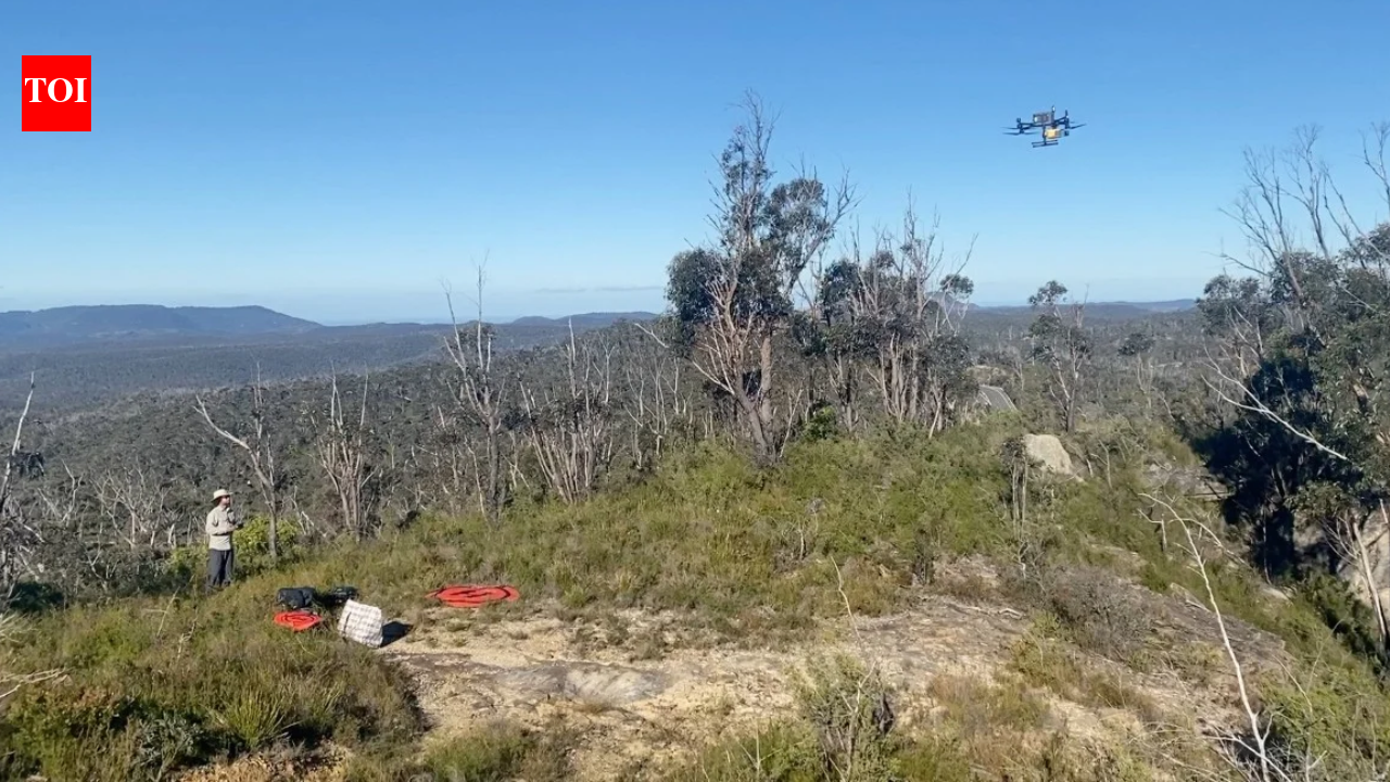 Drone LiDAR reveals three unregistered Aboriginal rock shelters in Australia's rugged Blue Mountains