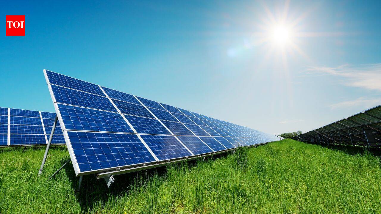 California farm earns 10 times more leasing land for solar than growing wheat