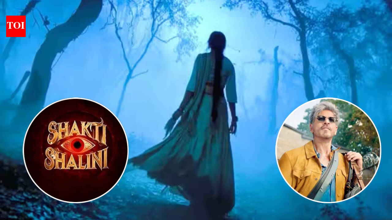 'Shakti Shalini' vs 'King': Aneet Padda’s film sticking to Dec 24 release despite clash?