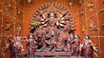 From political buzz to Puja pandal, cockroaches steal the show in Katihar