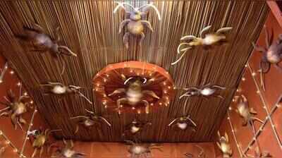 From political buzz to Puja pandal, cockroaches steal the show in Katihar