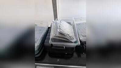 DRI seizes hydroponic weed worth Rs 1.85crore at Bhubaneswar airport, 4 detained