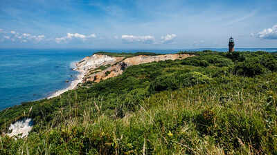 Martha's Vineyard rejected a 54-acre subdivision with 26 below-market lots and 19 luxury homes after seven marathon meetings, leaving land bought for $6.6 million in 2017 undeveloped for now