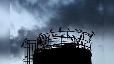 Dabolim gets 117mm rain, as showers bring relief after sweltering heat