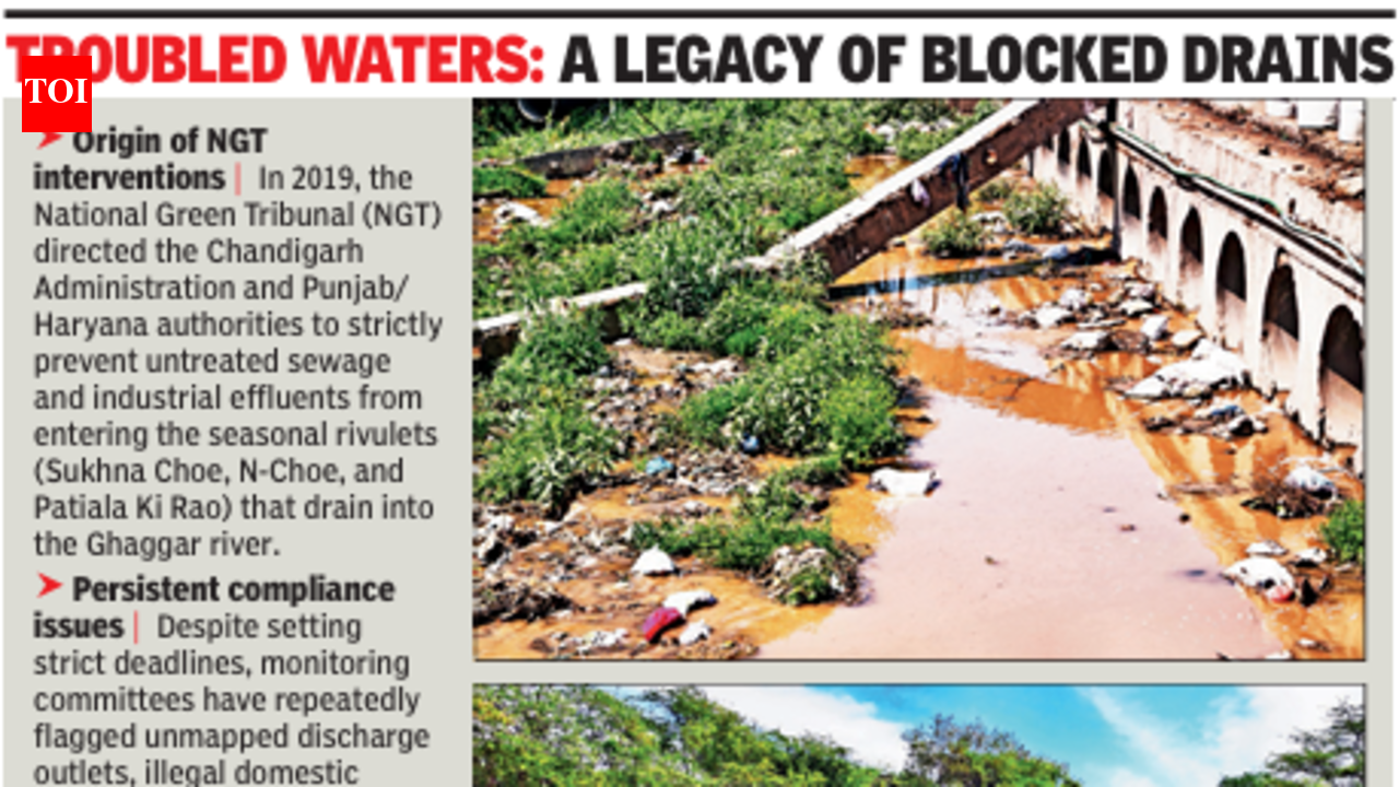 Chandigarh MC to replace damaged Sukhna Choe sewer line | Chandigarh ...