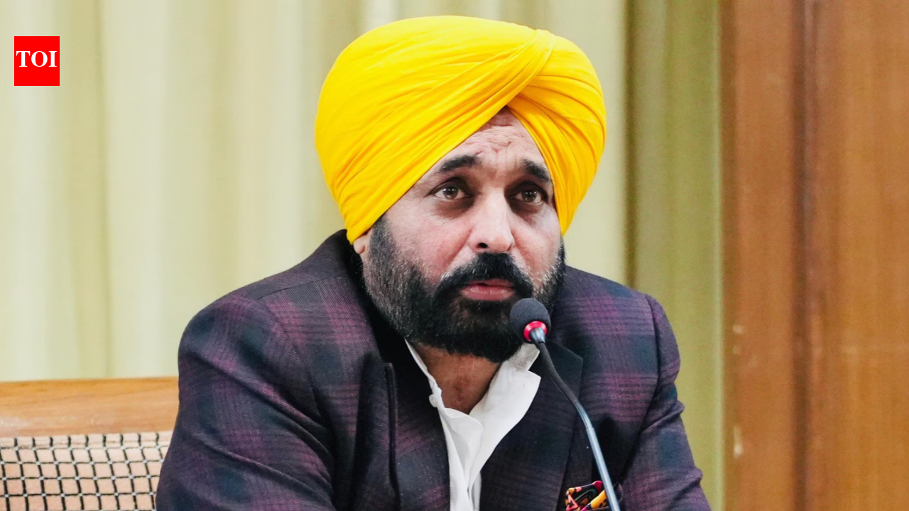What’s the need for MEA to study ‘functional role’ of Mann visit: HC