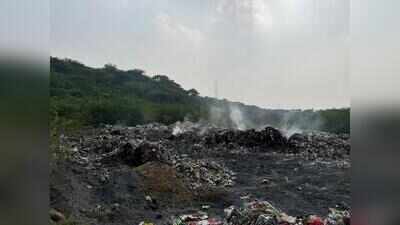 Cops detain protesters, form human chain to allow waste trucks into Aravalis in Faridabad
