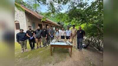 Junnar launches India’s first field trial of leopard immunocontraception to curb human-wildlife conflict