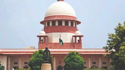 Internet is fundamental right of all, even children: Supreme Court