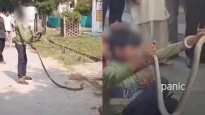 Six-foot snake spotted near lab at Mahoba health centre, triggers panic among patients