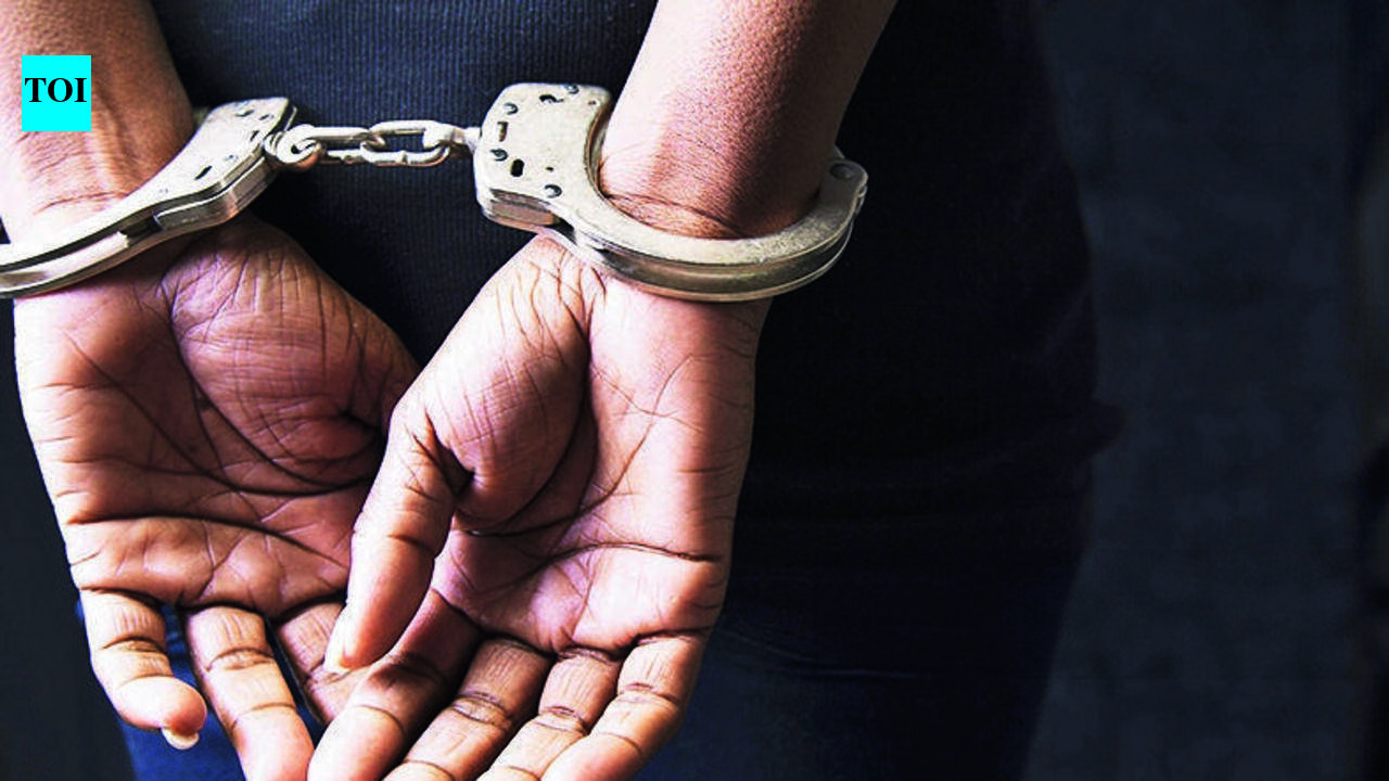 Brothers held for stealing valuables from beachgoer at Vypeen