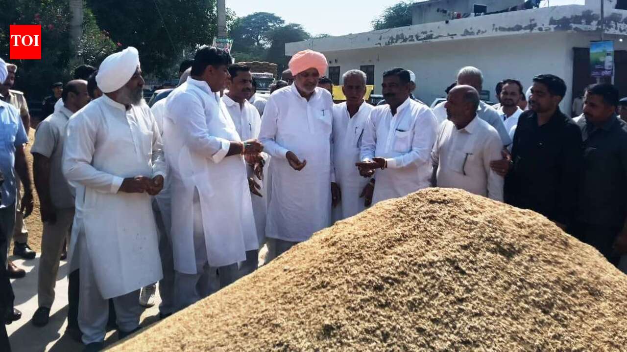 Haryana to act within 48 hrs on farmers’ complaints over excess paddy ...