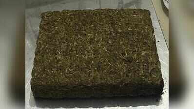DRI seizes 591 kg of ganja worth ₹3 crore in Gorakhpur