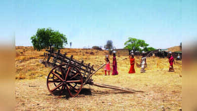 As paddy losses mount, Mulshi & Maval farmers seek drought relief, question assessment process