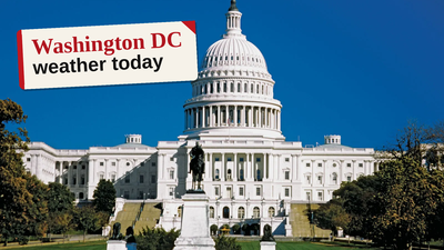 Washington DC weather forecast for October 19, 2026: Pleasant sunny day ahead with temperatures up to 20°C