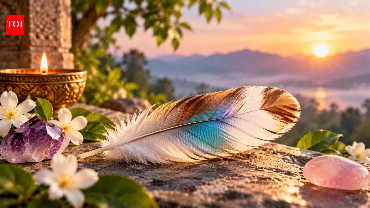 Found a Feather in an Unexpected Place? Its Colour May Carry a ...