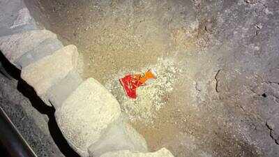 In 2023, a visitor dropped a Cheetos bag in Carlsbad Caverns’ Big Room in New Mexico; it triggered fungal growth, attracted insects and spiders, and disrupted the fragile ecosystem