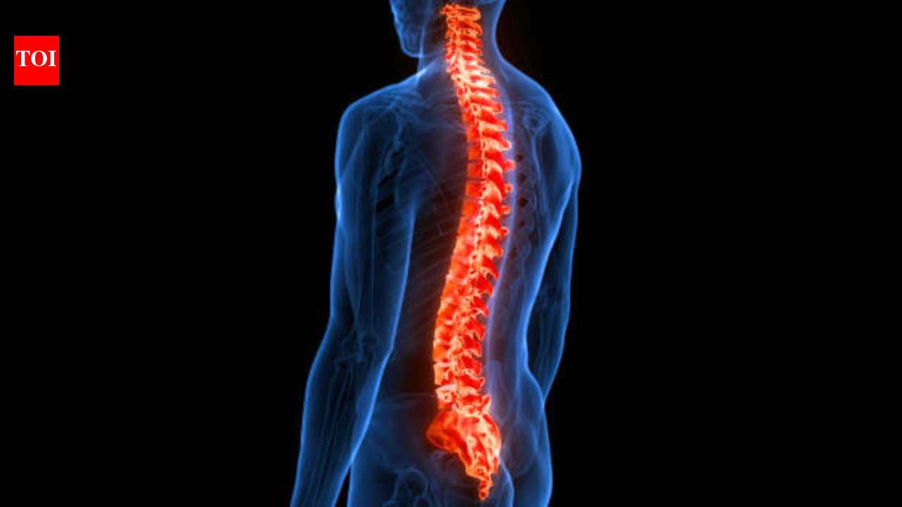The road to recovery after spinal cord injury: Why neuro-rehabilitation ...