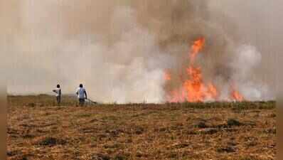 Punjab logs 36 new cases, tops farm fire list