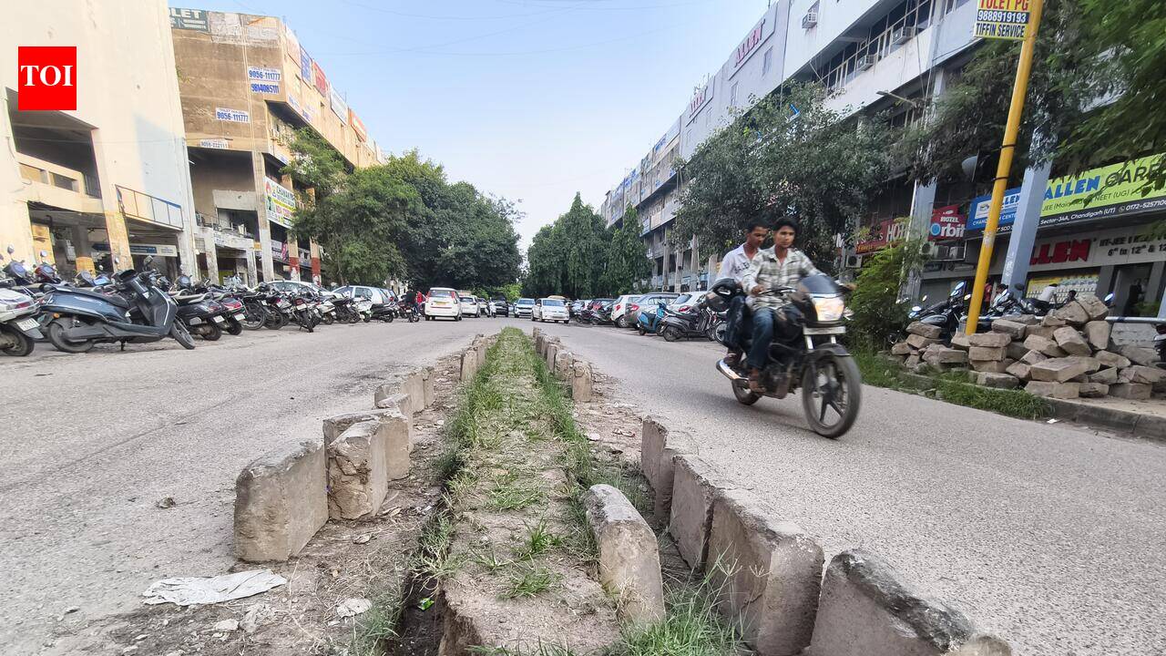 Sector 34: Where Planning Meets Neglect