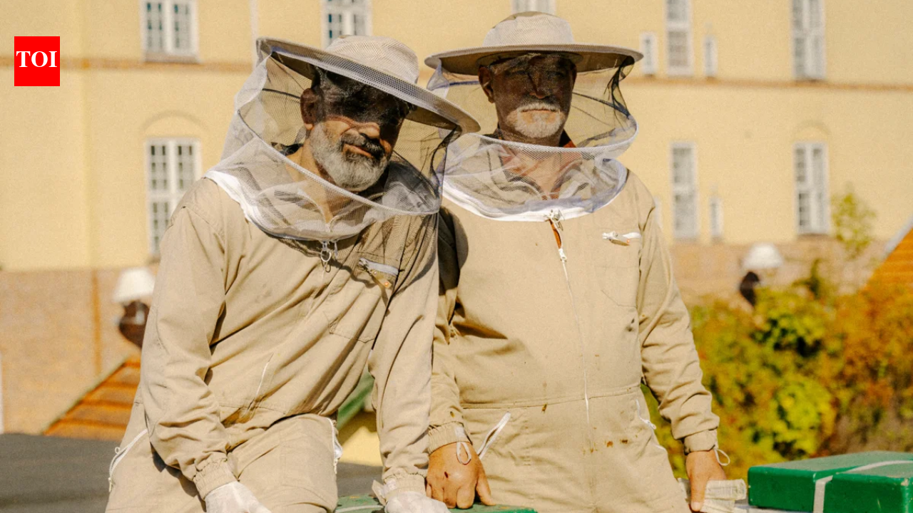 Copenhagen's ByBi grows from a rooftop project to 100 hives, producing six tonnes of honey yearly