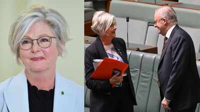 'Did a U-turn to hit her again': Chilling details emerge in Australia MP attack case