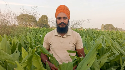 He quit engineering after just 4 months and returned to his village; today Jobandeep Singh, 32, grows organic crops and sells directly to around 50 customers