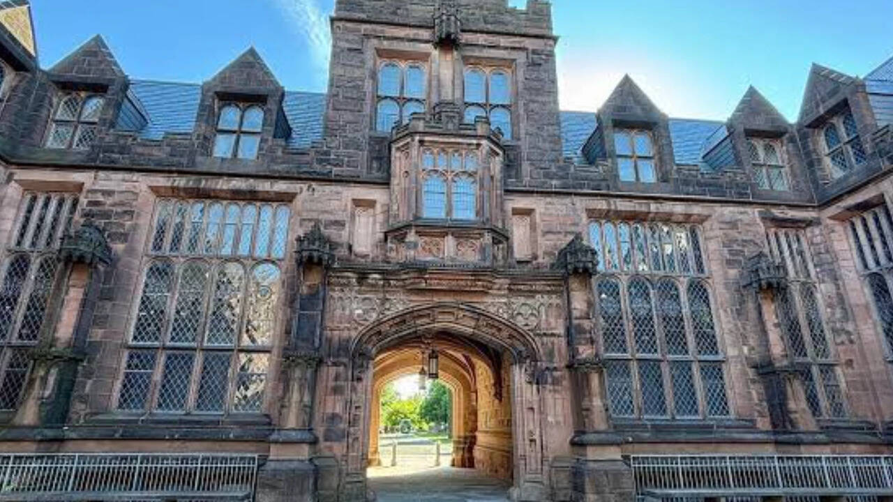 Princeton PhD holder applied for 2,300 jobs in 2 years but got no ...