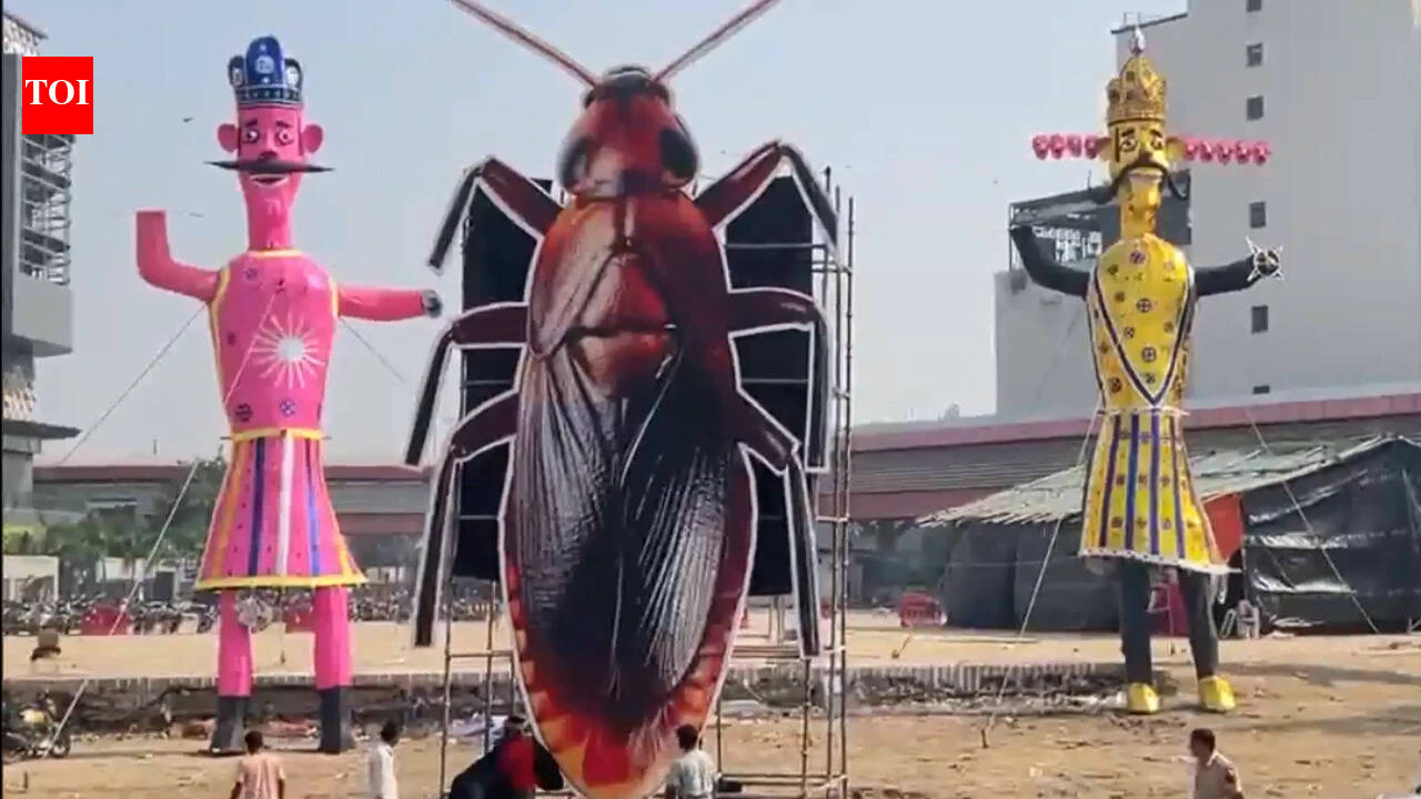 CJP founder thanks Delhi Ramlila organisers for cockroach effigy