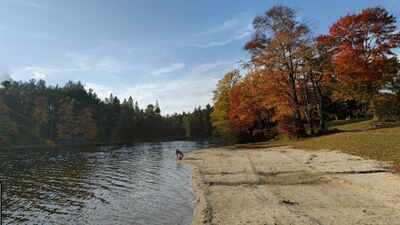 In 1902, Pennsylvania began buying nearly treeless, fire-damaged land for just 18 cents to $2 an acre; decades of replanting added more than a million trees and helped build Promised Land State Park