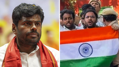 ‘Doing a real disservice’: Annamalai backs CJP leaders, questions their continued custody