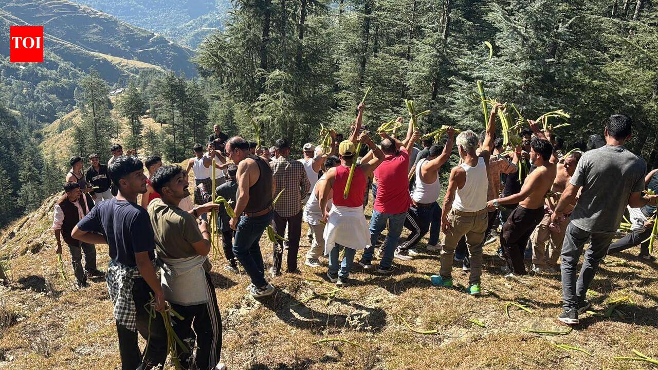 A battle of ‘penance' marks Dussehra in Jaunsar villages