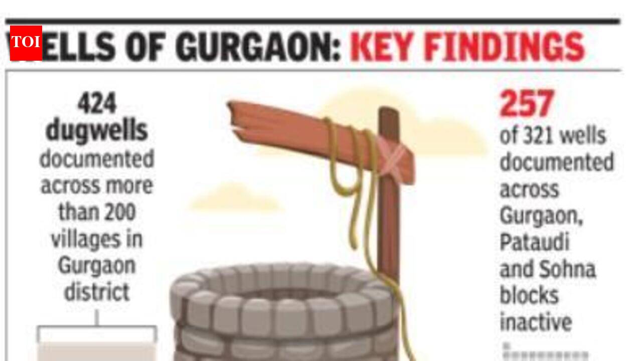 Gurgaon's 80% dug wells choked with muck, run dry