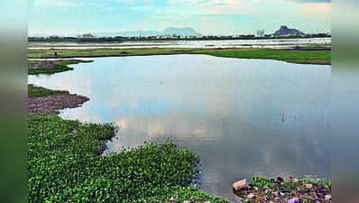 Tamil Nadu takes up 40,000 water conservation projects under VB G Ram G scheme this year