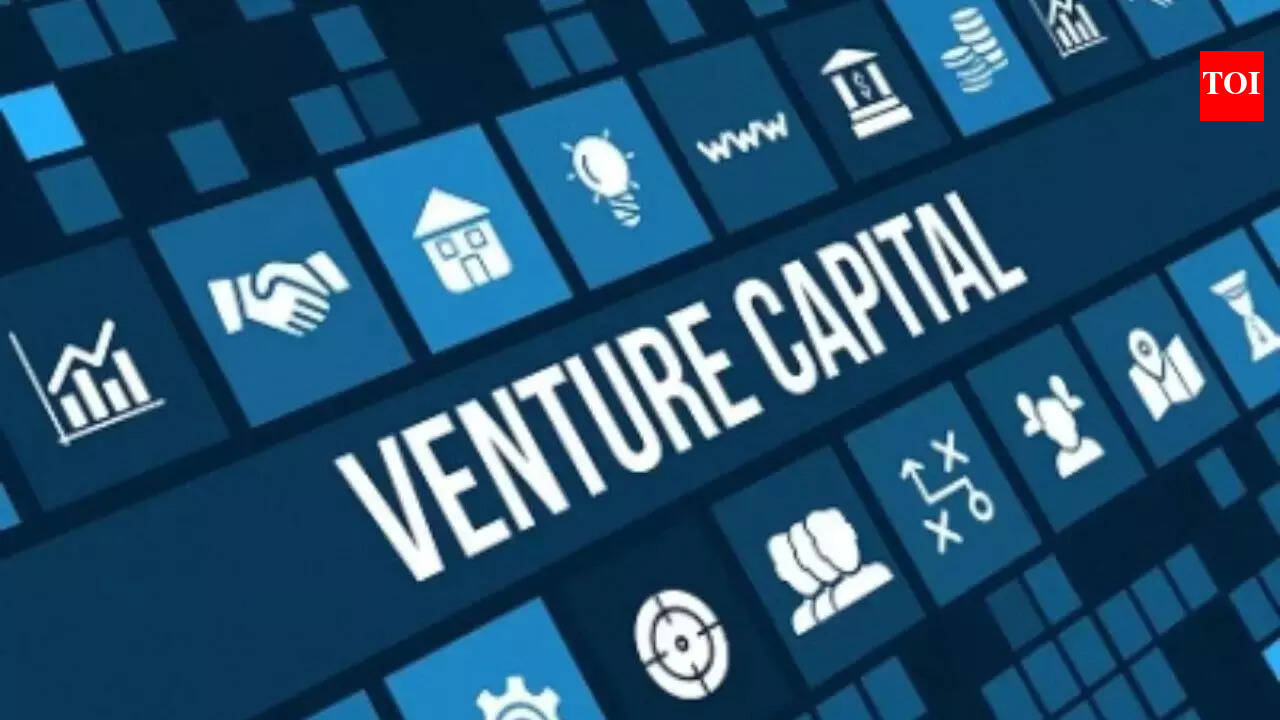 PE-VC investments shine, may exceed $39 billion this year