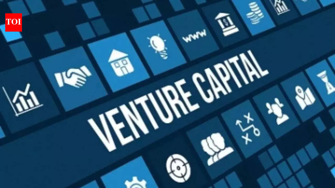 PE-VC investments shine, may exceed $39 billion this year