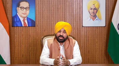 Punjab CM Bhagwant Mann 'detained for 3 hours' at Delhi airport, fined 50k