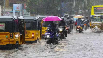 Tamil Nadu rain: Schools closed in Chennai and four other districts on October 21; check latest weather updates