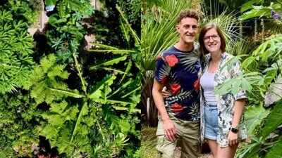 Newport couple started with a banana tree in their backyard; it grew into a tropical jungle with exotic flowers, spiky foliage and poisonous plants: The garden, inspired by their travels, has become so wild that their son now gives friends a “danger tour” of its plants