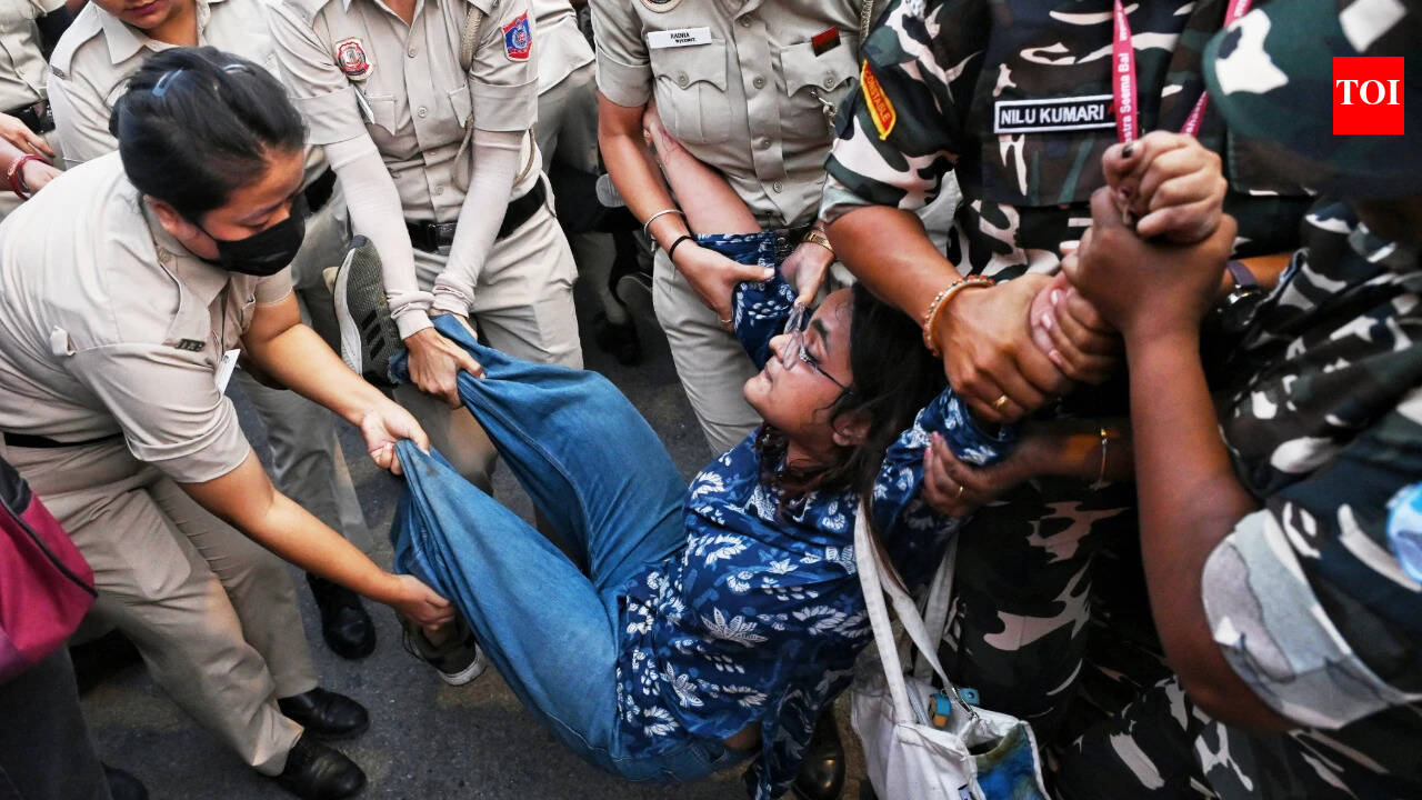 'Troubling pattern': UN experts flag 'use of excessive force' during India protests