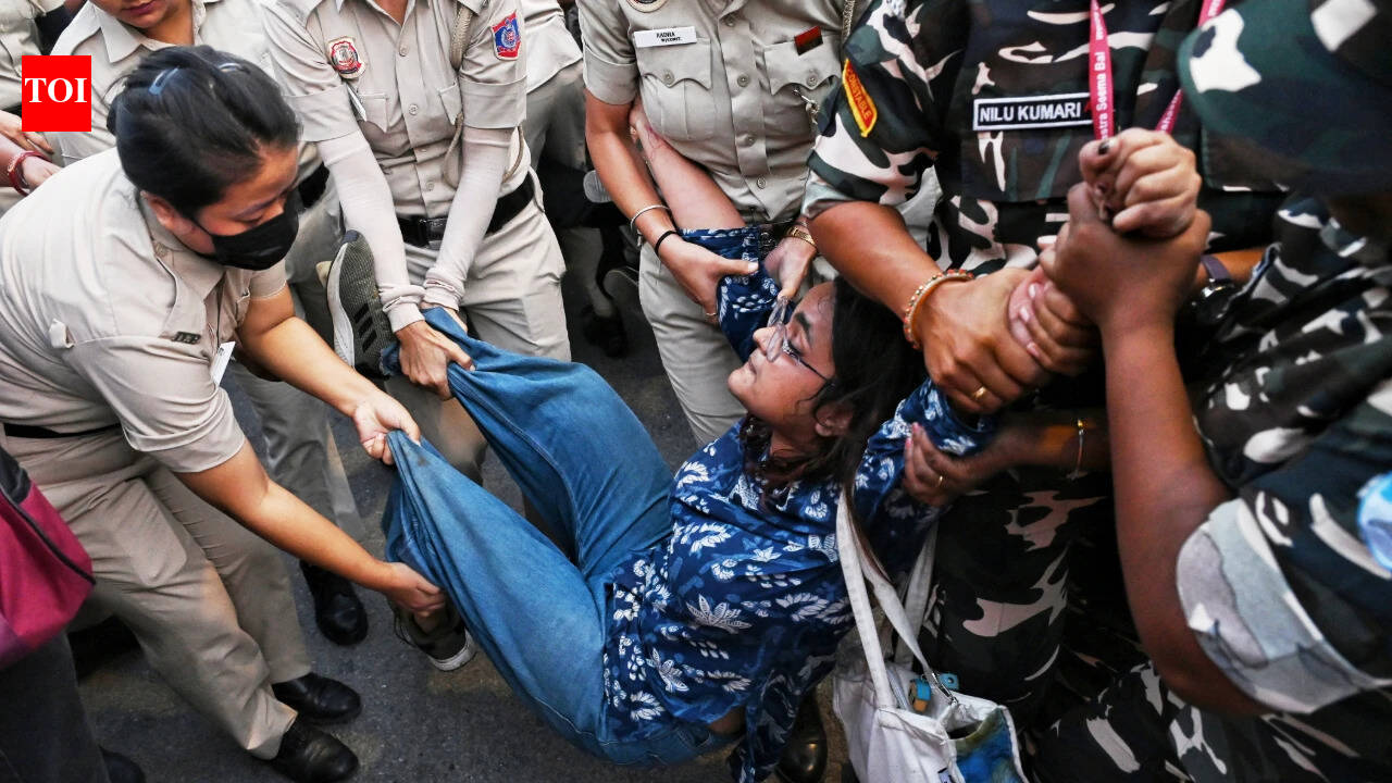 'Troubling pattern': UN experts flag 'use of excessive force' during India protests