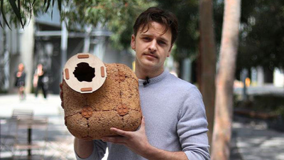 An Australian designer develops hempcrete tiles to recreate tree hollows and rocky crevices; shelters aim to help threatened wildlife, including eastern quolls and ringtail possums