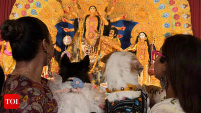 Pets at the Pujo: Hyderabad’s Durga Pujas make room for four-legged furry friends