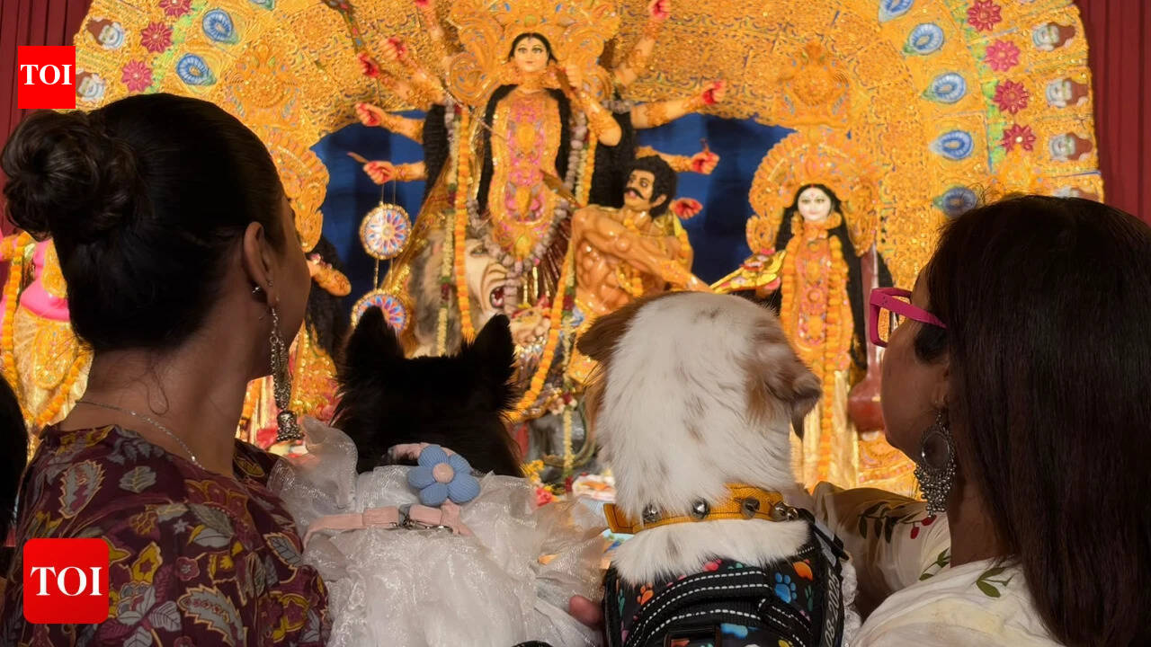 Pets at the Pujo: Hyderabad’s Durga Pujas make room for four-legged ...