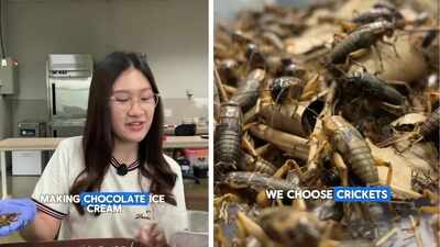 Video: Student makes chocolate ice cream using crickets; internet reacts: ‘I'm never eating chocolates again’