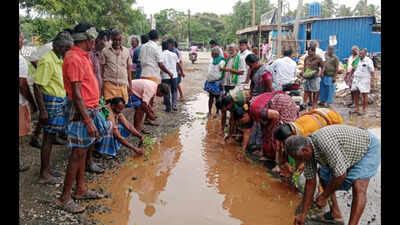Farmers plant saplings on potholed roads in Tirupur district to press for repairs