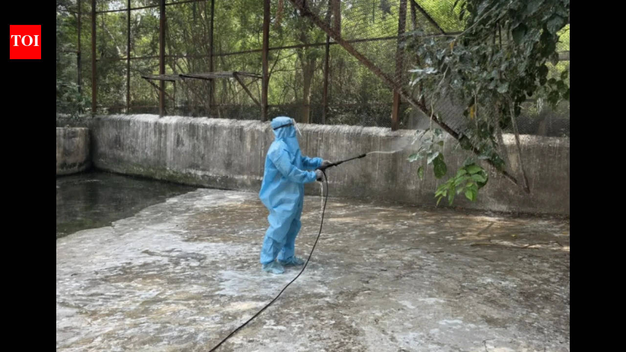 Seven waterbirds die of avian influenza in Chennai's Vandalur zoo