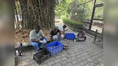 Vandalur zoo closes for two days after bird flu deaths
