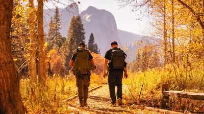 Top 10 most-visited national parks in the US and what travellers should know